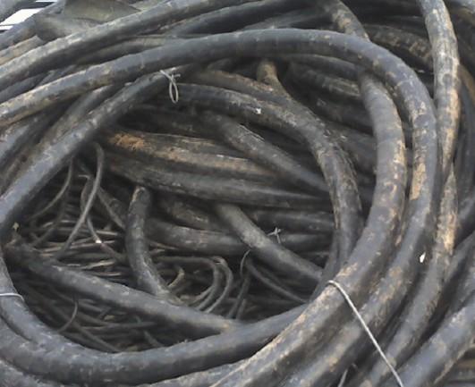 长春常年高价回收电缆