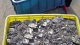 本溪废锡收购|回收废锡|焊锡回收厂家