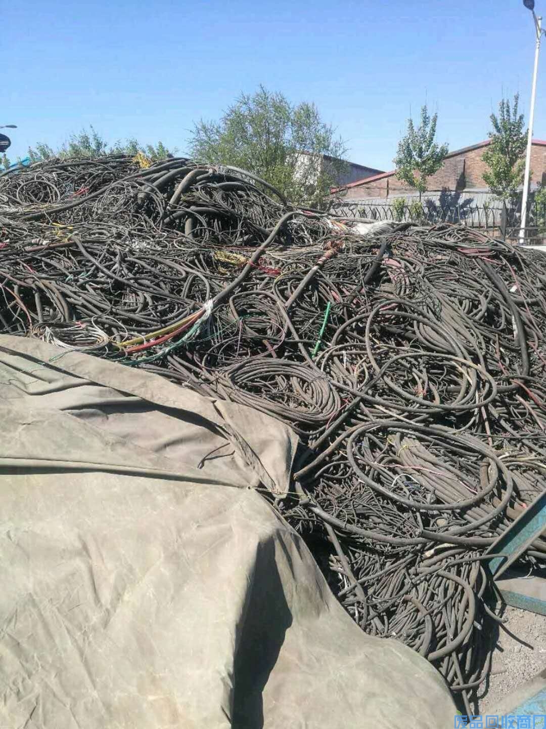 白城市废电线收购-废电缆收购
