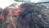 虎林市电力电缆回收|收购废电力线缆公司
