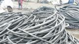 白山电力电缆回收|收购废电力线缆公司