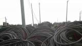 尚志废电缆回收公司-废电缆收购厂家