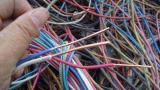 绥化市通信光缆回收 | 高压电缆收购 | 低压电缆线回收