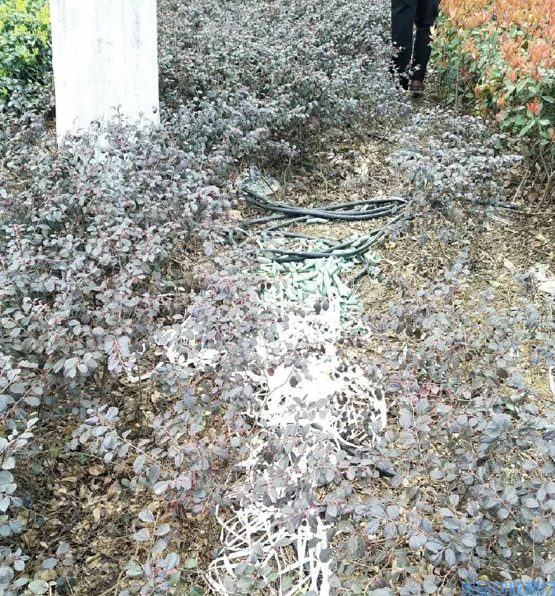 3个月发生7起！江北槐树公园成电缆盗窃重灾区