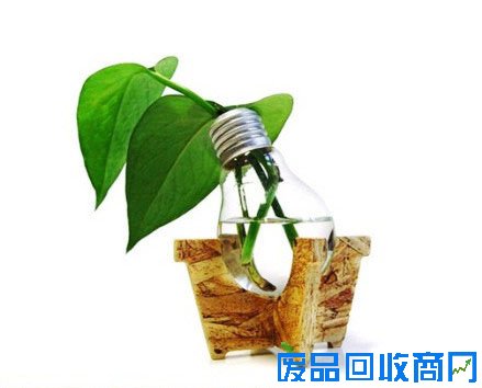 灯泡diy盆栽装饰