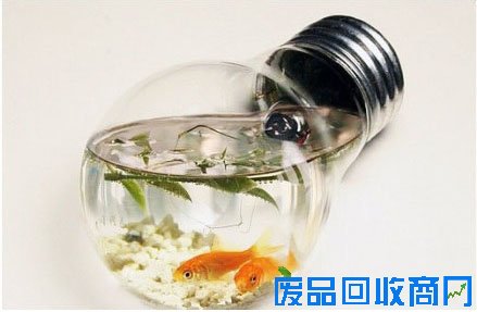 废旧灯泡diy鱼缸