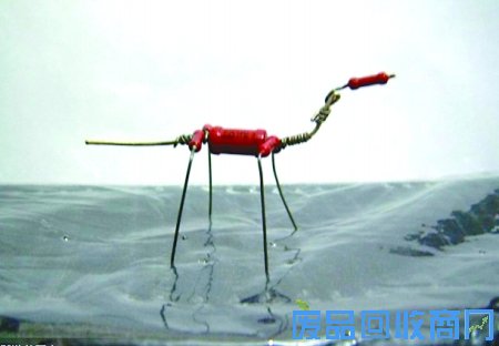 电子元器件diy小动物