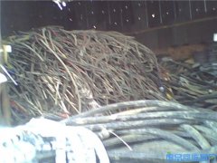 鞍山废电缆线回收_辽阳废电缆_废网线回收