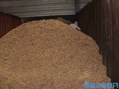 营口废铜回收，废铜屑收购，紫铜屑回收