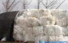 辽宁库存废旧塑料回收