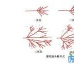 教你用火花鉴别各类钢铁和金属材质