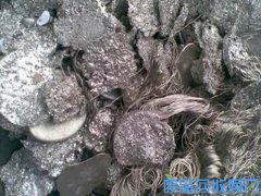 【采购】鞍山废锡回收